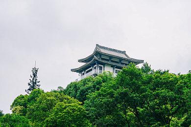 软件著作权登记暂停 新游戏将暂时无法申请版号